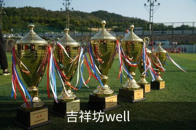 吉祥坊well公司简介